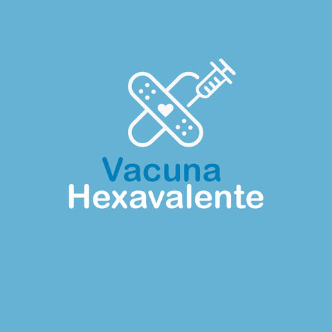 Vacuna Hexavalente